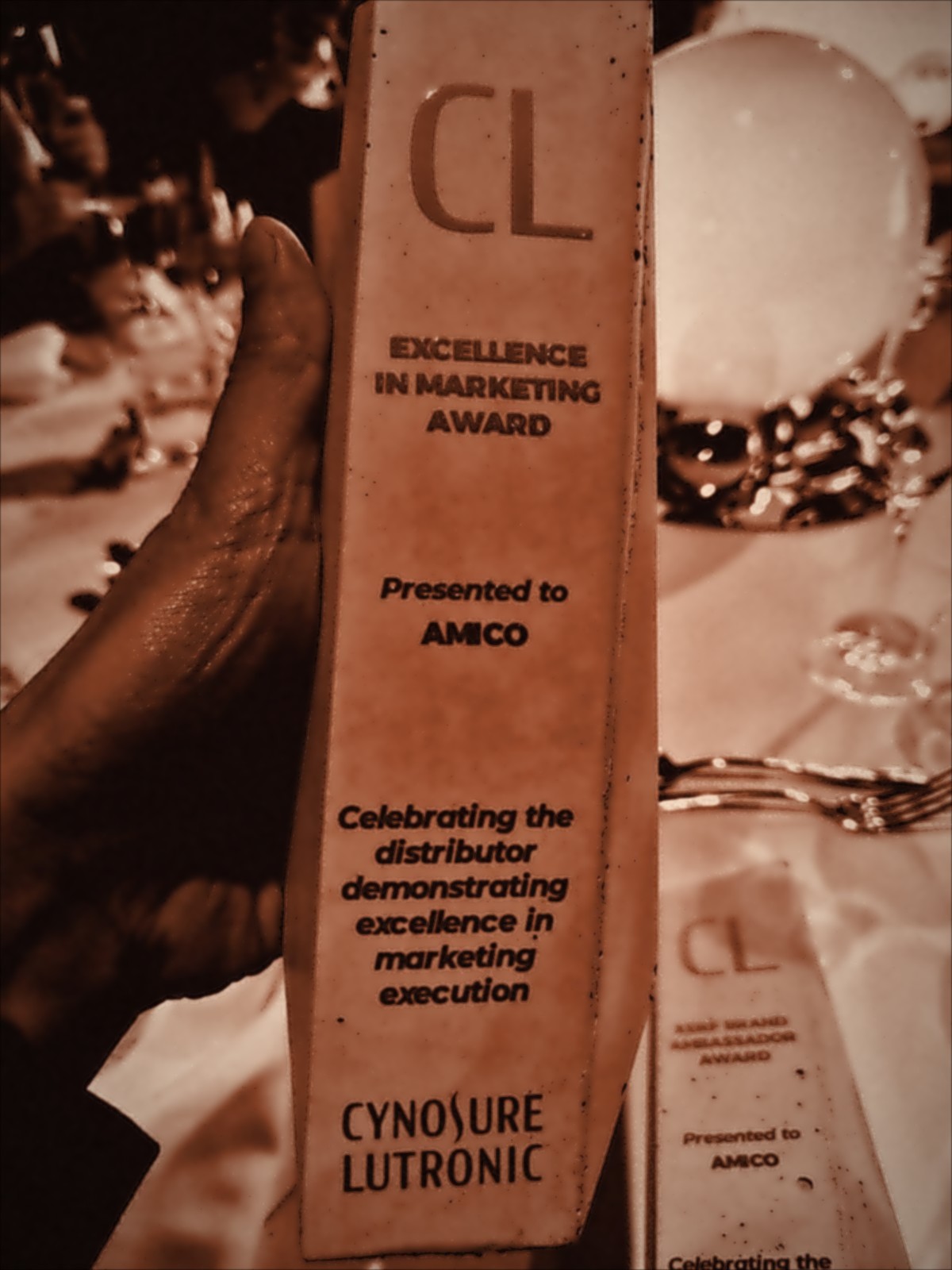 Excellence in Marketing Award