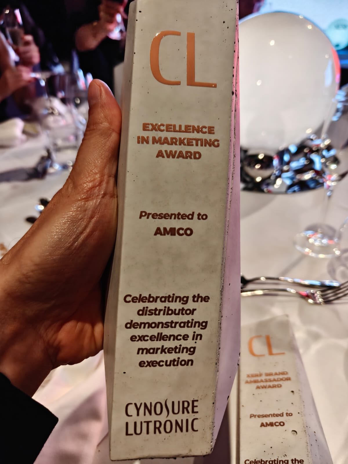 Excellence in Marketing award
